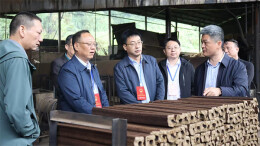 双峰县：激活重大事项决定权，赋能基层治理