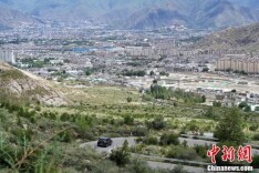 （辉煌60载 魅力新西藏）世界屋脊上的“绿色奇迹”：拉萨南北山绿意盎然