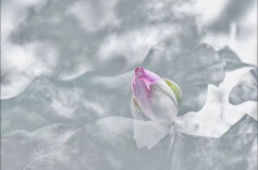 “第六重荷境”：——对话摄影艺术家熊汉泉