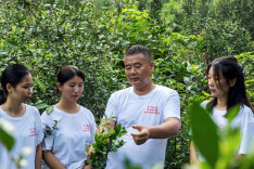 万里茶道河南段：晴访桐柏野茶，解码赊店茶道