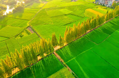 常宁市渔罗路：最美农村路的四季风华