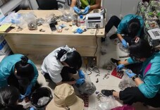 岳麓山评论丨12083元的硬币，让善意有了归宿