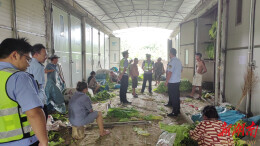 永顺县泽家镇：以安全为基筑牢经济发展底盘