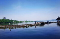 45004亿元！浙江省上半年地区生产总值增长5.8%