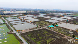 从“智慧渔场”到低空经济，中山人大代表把脉产业升级新路径