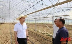 陈淼赴许市镇、钱粮湖镇聚焦有效衔接工作开展“走找想促”调研