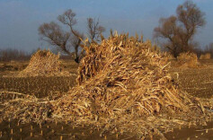 秸秆加工用处多