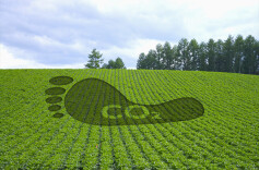 你了解碳足迹吗？地球的“热量账单”如何才能减少？