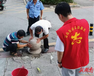 红星街道：“一迎三创”显成效 基层治理绘就民生新图景