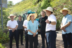 湖南雁峰“6·25为民服务日”：让民主落地 让民生暖心