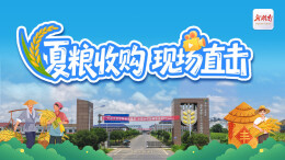 图文直播｜夏粮收购现场直击