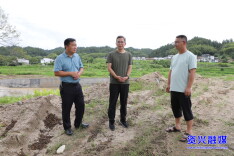 资兴：加快推进灾后恢复重建和产业振兴 着力描绘乡村振兴新画卷