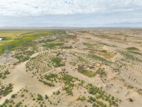 三北精神 | 风起时，在沙上写诗