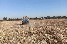 坚持问题导向，助推秸秆焚烧精准管控