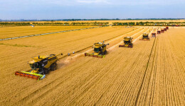 理论·智库丨以数据要素市场化赋能农业高质量发展