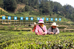 汝城县泉水镇：“民生为本，代表先行”的履职群像