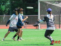 16支队伍同台竞技 2025“贺龙杯”长沙OPEN飞盘公开赛举行
