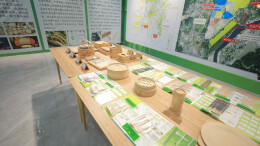 奋战项目建设年 | 总投资2.78亿元！会同竹产品绿色低碳产业园（一期）项目竣工，即将试生产