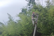 竹林开路，冒雨接线……他们奔赴30公里为独居老人“点灯”