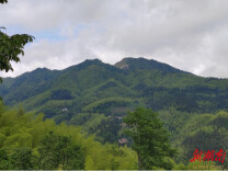 在南华仙境与陶渊明隔空对饮