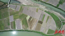 永顺县：高标准农田建设绘就振兴“丰”景