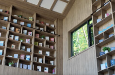 在世界文学地图上发现清溪：多国汉学家、翻译家来湘开展文学交流