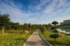 让城市“里子”更扎实