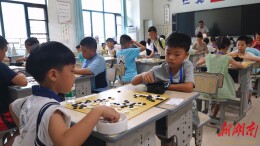 鹤城区：2025年围棋段级位赛暨团体赛落幕  棋手风采闪耀赛场