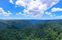 三湘时评丨让好生态带来真实惠