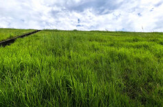 长株潭城际漫游丨夏日徒步法华山：遇见神仙级的“天池”与草原