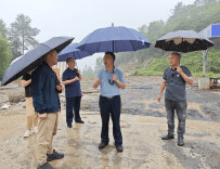 “四维联动”打造民生实事项目票决“桑植样板”