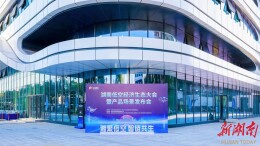 湖南低空经济再添新动能，中国信息协会低空经济分会助力腾飞