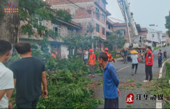 江华大圩镇：干群抢险保通途