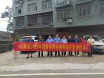 沅陵县开展2025年鸟类等野生动物保护专项行动