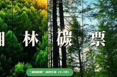 湖南“湘林碳票”成交超316万元