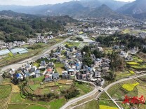 职业院校与地方政府联动——乡村振兴战略实施的合力机制思考