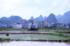 图片新闻 | 宁远：白鹭伴“双抢”，田园风光入画来