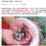 “灭蚊鱼”是外来物种？还有人想养家里！最新提醒