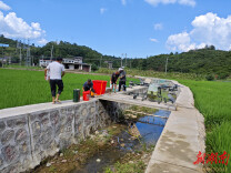永顺县青坪镇：无人机“飞防”助力农业生产