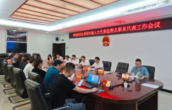 桑植县：打好优化营商环境“组合拳”