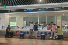 云溪区数据局：“高效”锻造硬核服务力