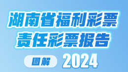 图解《湖南省福利彩票责任彩票报告（2024年）》