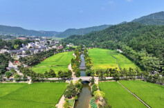 韶山：早稻丰收金浪涌  晚稻播种正当时 