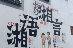 岳麓山评论丨从网络狂欢到现实困境：方言的文化传承之战