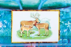 麋鹿回家40年系列活动启动