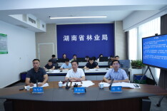 省林业局召开全省林业系统森林防火工作视频调度会议