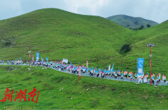 致敬劳动美，健康向未来——劳模工匠“大手拉小手”一路奔跑上南山