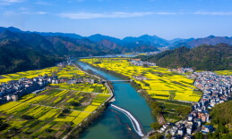 理论·新域头条 | 新时代美丽中国建设的根本遵循和行动指南——学习《习近平生态文明文选》第一卷