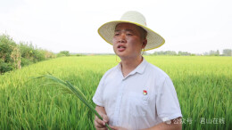 青春无悔橄榄绿 乡村振兴显风采