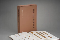 《益阳兔子山七号井西汉简牍》入选“全国古籍出版社百佳图书”